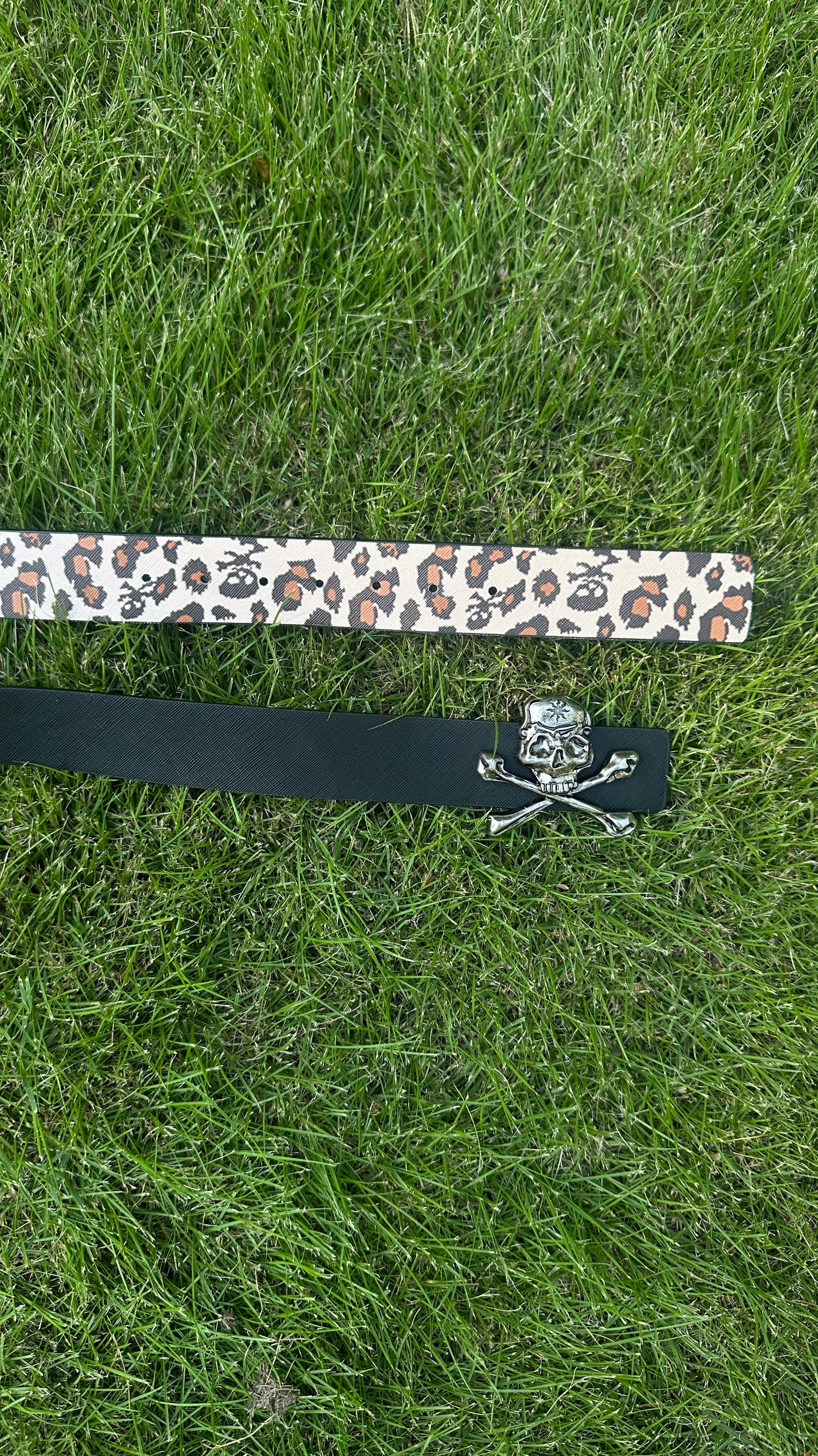 “TOXIC” LEOPARD BELT (REVERSIBLE)